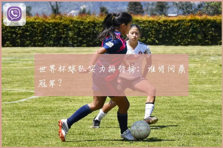 世界杯球队实力排行榜：谁将问鼎冠军？